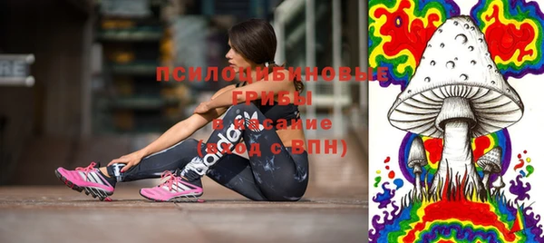 apvp Нефтегорск