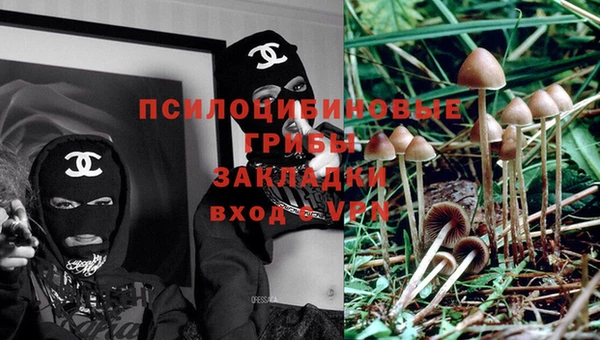 apvp Нефтегорск