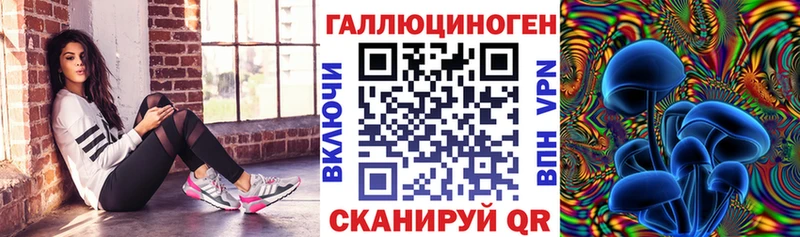 Псилоцибиновые грибы Psilocybine cubensis  Суздаль 